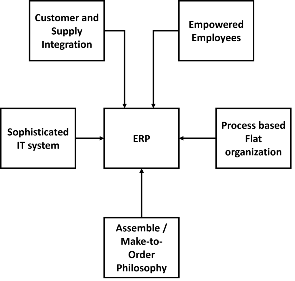 conceptual model of ERP